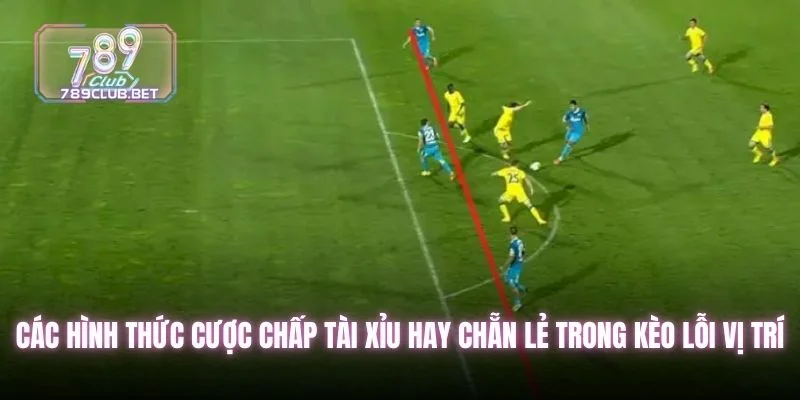 Các hình thức cược chấp tài xỉu hay chẵn lẻ trong kèo lỗi vị trí