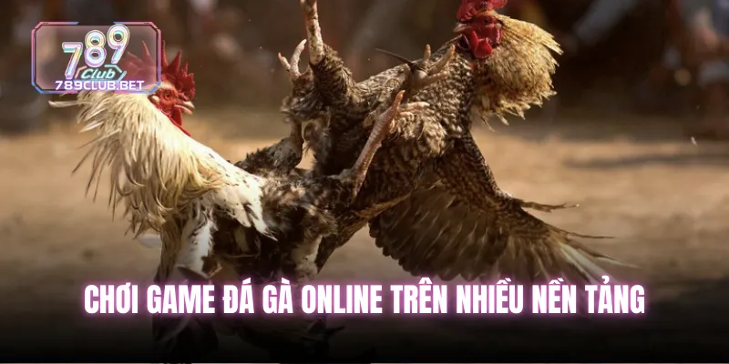 Chơi game đá gà online trên nhiều nền tảng