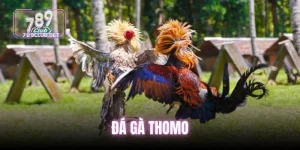 da-ga-thomo