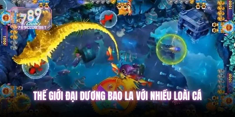 Thế giới đại dương bao la với nhiều loài cá