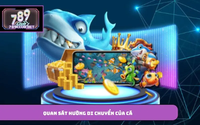 Quan sát hướng di chuyển của cá