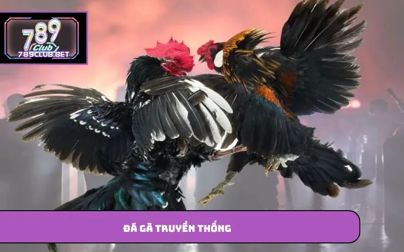 Đá gà truyền thống