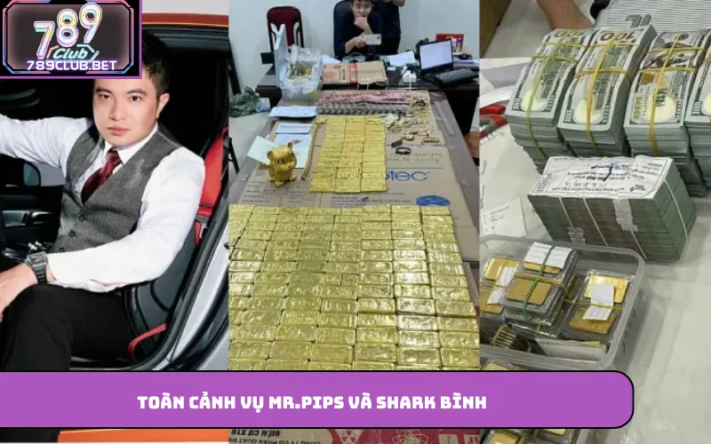 Toàn cảnh vụ Mr.Pips và Shark Bình