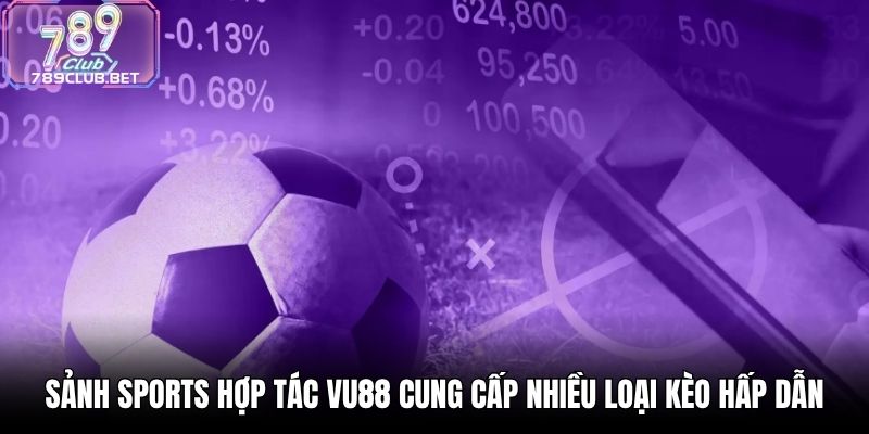 Sảnh Sports hợp tác VU88 cung cấp nhiều loại kèo hấp dẫn