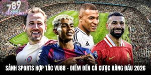 Sảnh Sports Hợp Tác VU88 - Điểm Đến Cá Cược Hàng Đầu 2026